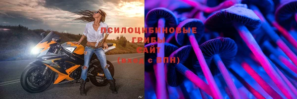 mix Богородск