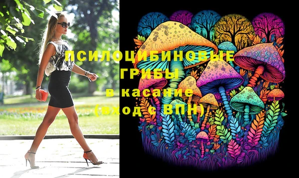 дмт Богданович
