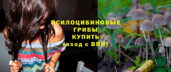 mix Богородск
