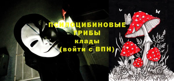 стафф Белокуриха