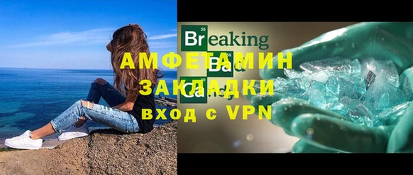 дмт Богданович