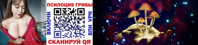 Купить  Десногорск  Галлюциногенные грибы Psilocybe 